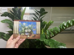 Lenticulaire postkaart afdrukken Toucan wilde dieren 3D-postkaart voor dierentuinpakket Sealifes