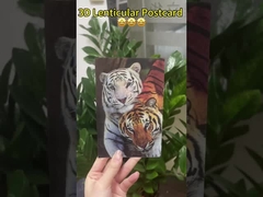 Van Goghs zonnebloemen 3D-lensachtige ansichtkaarten voor musea