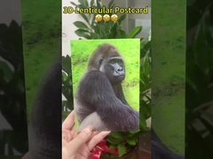 3D-veranderende foto's Verjaardagskaart Verjaardagskaart Bruiloft 3D-afdrukken afbeeldingen