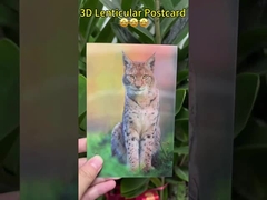 Van Goghs zonnebloemen 3D-lensachtige ansichtkaarten voor musea