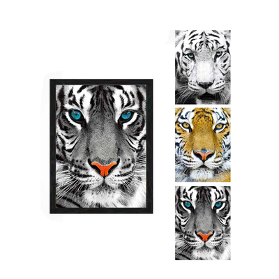Best verkopende Lenticulaire Lens Plaat 3D Foto Lenticulaire Poster Flip Picture Anime Poster 3D Lenticulaire Poster
