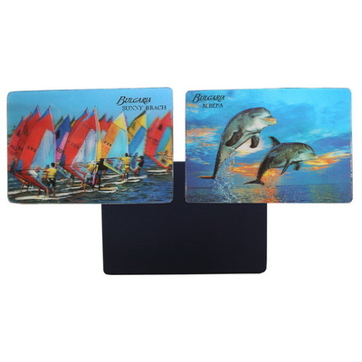 3D-koelkastmagneten 3d-lenselarm creatieve koelkastmagneten 3D-magneten toeristische souvenir