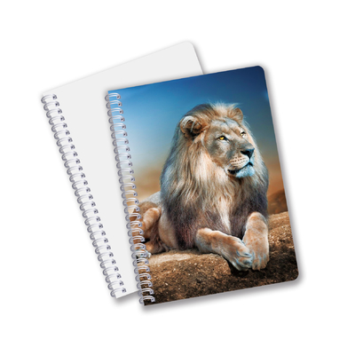 Groothandel 3D-effect 3D-lenseprinter Notebook Hardcover Spiraal gebonden Notebook Perforated Notebook For Kids
