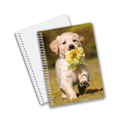 Groothandel 3D-effect 3D-lenseprinter Notebook Hardcover Spiraal gebonden Notebook Perforated Notebook For Kids