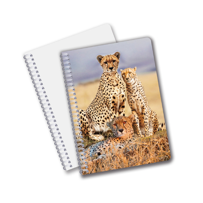 Groothandel 3D-effect 3D-lenseprinter Notebook Hardcover Spiraal gebonden Notebook Perforated Notebook For Kids