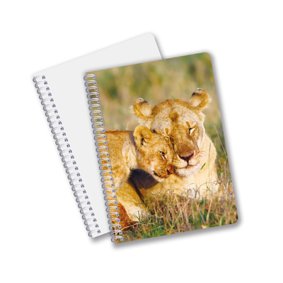 Dagelijks gebruik Goede kwaliteit Made in China Eco-vriendelijk PET Duurzame aangepaste vellen 3D Lenticulaire Spiraal Notebook