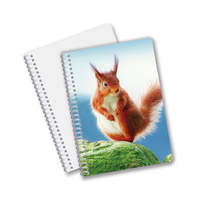 Dagelijks gebruik Goede kwaliteit Made in China Eco-vriendelijk PET Duurzame aangepaste vellen 3D Lenticulaire Spiraal Notebook
