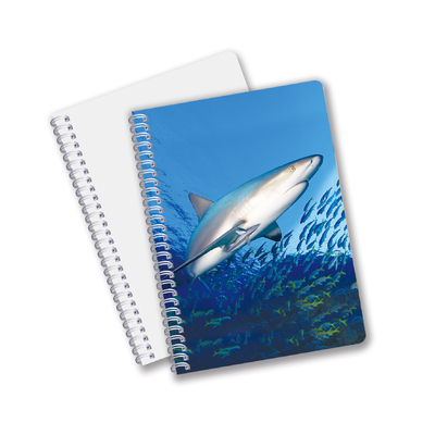 Dagelijks gebruik Goede kwaliteit Made in China Eco-vriendelijk PET Duurzame aangepaste vellen 3D Lenticulaire Spiraal Notebook