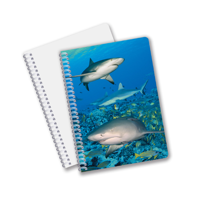 Schoolbenodigdheden 3D Lenticulair notitieboek Custom Spiral Notitieboek voor studenten en kantoor