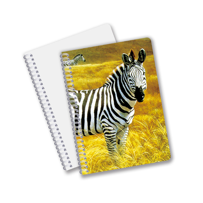 Groothandel aangepaste warm verkoop maat A6 A5 A4 PET spiraalvormige 3D-lense CMYK-drukboekjes voor kantoorwerk