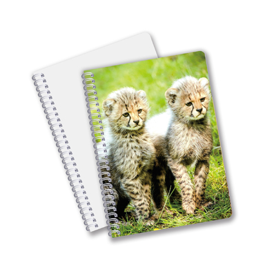 Fabriek Custom B5 A5 A6 3d Printing Lenticulaire Notebook Cute Spiral Student Notebook