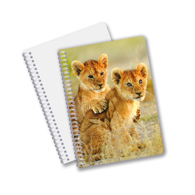Fabriek Custom B5 A5 A6 3d Printing Lenticulaire Notebook Cute Spiral Student Notebook