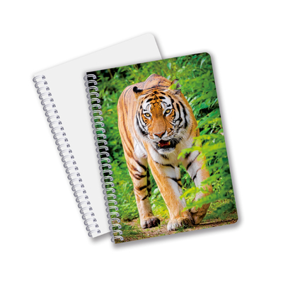 China Factory 3D Lenticulaire Custom offset Printed PET A3/A4/A5/A6 Notebooks
