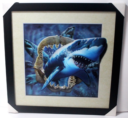 40 X 40 cm 3D Lenticulaire Flip Picture Groothandel /Aangepaste Lenticulaire Druk 3D Poster 3D Lenticulaire Foto met Dier