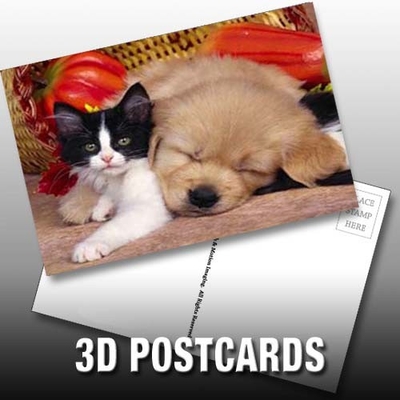 Flip Effect 3D Lenticulaire Posterkaart Schattig Puppies en Kittens Design