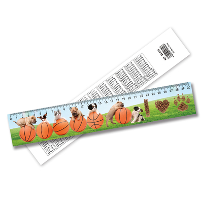 3D Lenticulaire Printable Parallel Rulers Wholesale Products Custom Design Plastic 3D Rulers voor school Plastic John
