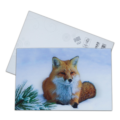 Bruine beer in Alaska Lenticulaire kaart Souvenir cadeaubond voor toeristen 3d ansichtkaarten