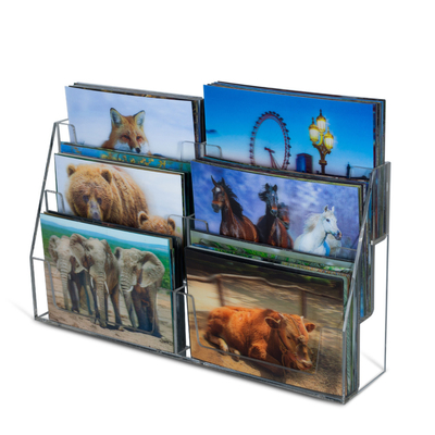Kinderen cadeautjes Dinosaurus kaart 3d animatie foto 3d ansichtkaart bewegende kaarten