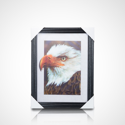 Best verkopende Lenticulaire Lens Plaat 3D Foto Lenticulaire Poster Flip Picture Anime Poster 3D Lenticulaire Poster