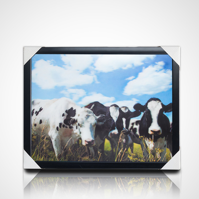 Persoonlijke 3D PET Lenticulaire Poster Printing 3D Schilderen met Zwart PS Frame voor Home Decor