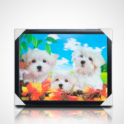Custom 30*40 cm Japanse anime schilderen anime foto's 3D poster Lenticulaire anime poster voor wanddecoratie