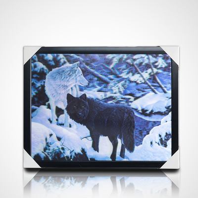 Fabriek Lenticulaire Poster Met Frame Custom Low MOQ Klaar Voor Verzending