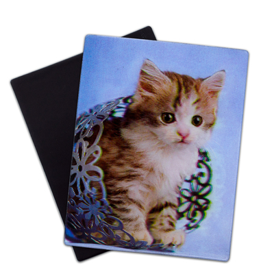 Lieve puppies 3D magneten Lenticulaire 3D koelkast magneet voor souvenir cadeau