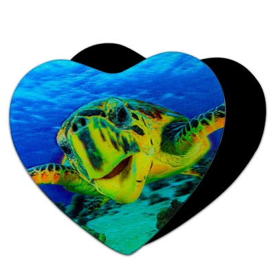 3D-magneten Sealifes Dolfijn Haai Schildpad Lenticulaire Printkaart Voor cadeautjes