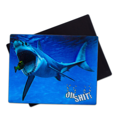 3D-magneten Sealifes Dolfijn Haai Schildpad Lenticulaire Printkaart Voor cadeautjes