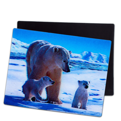 Lieve puppies 3D magneten Lenticulaire 3D koelkast magneet voor souvenir cadeau