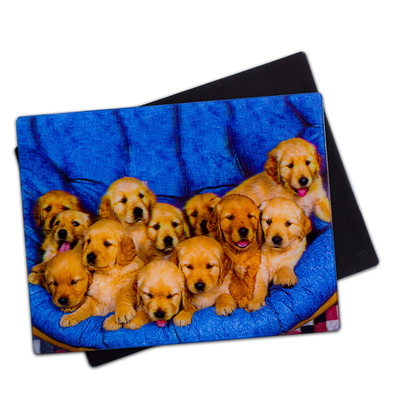 Lieve puppies 3D magneten Lenticulaire 3D koelkast magneet voor souvenir cadeau