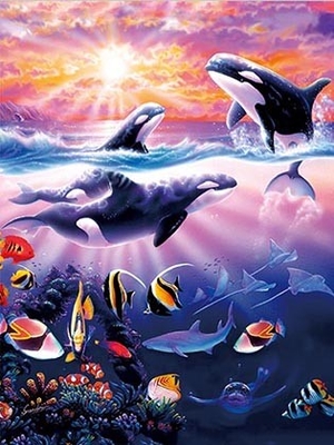 Sealifes Dolfijn Schildpad Haai Lenticulaire 3D Motion Card Souvenir Gift Card
