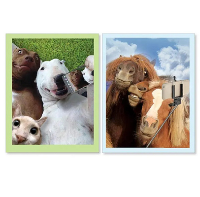 Nieuwe producten 3d hologramgroetekaartjes met interessante dierenserie