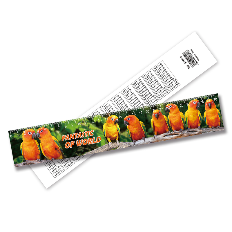 Groothandel 3D Lenticulair Printing Plastic Ruler Lenticulair Printing Ruler Aanvaard Custom Size Design