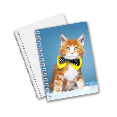 Groothandel 3D-effect 3D-lenseprinter Notebook Hardcover Spiraal gebonden Notebook Perforated Notebook For Kids