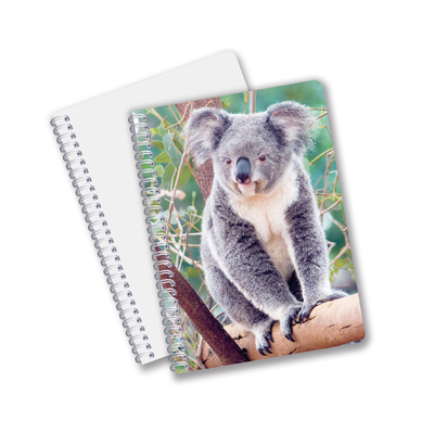 Dagelijks gebruik Goede kwaliteit Made in China Eco-vriendelijk PET Duurzame aangepaste vellen 3D Lenticulaire Spiraal Notebook