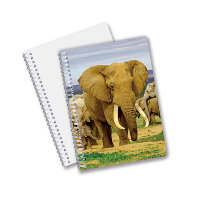 Fabriek Custom B5 A5 A6 3d Printing Lenticulaire Notebook Cute Spiral Student Notebook