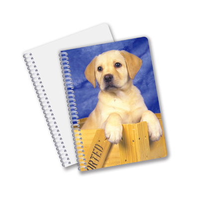 China Factory 3D Lenticulaire Custom offset Printed PET A3/A4/A5/A6 Notebooks