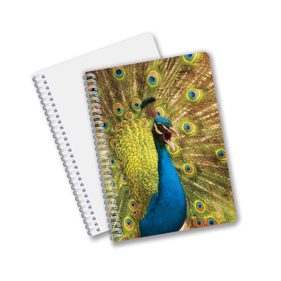Goede kwaliteit Gepersonaliseerd 3D lensachtig PET-materiaal Promotie Geschenk Spiraal 3D-printen Notebook