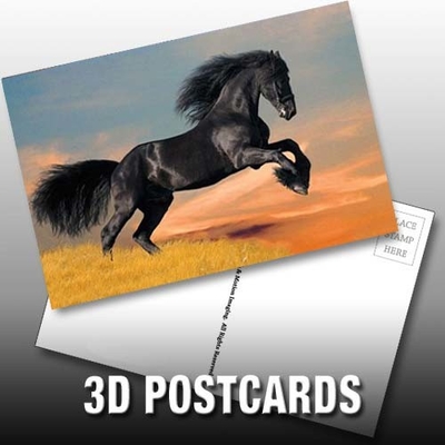 Flip Effect 3D Lenticulaire Posterkaart Schattig Puppies en Kittens Design