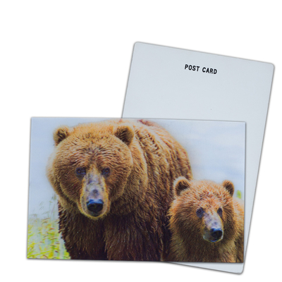Bruine beer in Alaska Lenticulaire kaart Souvenir cadeaubond voor toeristen 3d ansichtkaarten