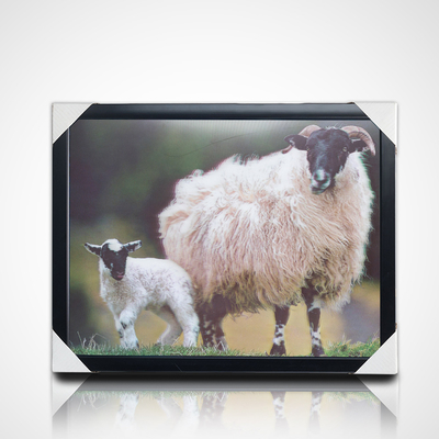 Persoonlijke 3D PET Lenticulaire Poster Printing 3D Schilderen met Zwart PS Frame voor Home Decor