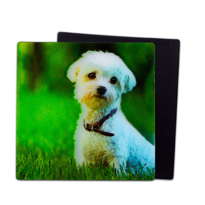 Lieve puppies 3D magneten Lenticulaire 3D koelkast magneet voor souvenir cadeau