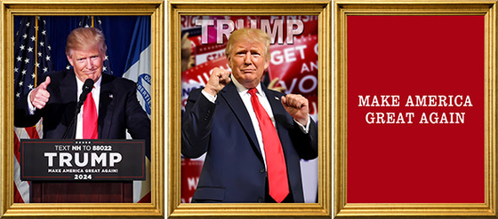 TRUMP ontwerpt gepersonaliseerd 3D-printing PET Lenticulair Poster 3D Lenticulair Printing